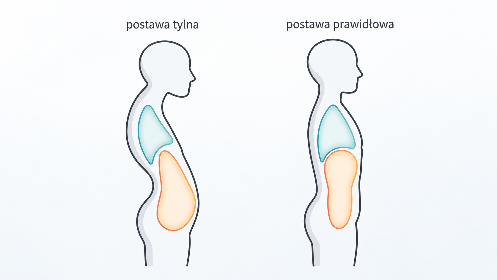 Wady postawy a układ pokarmowy – czy postawa ciała wpływa na trawienie?