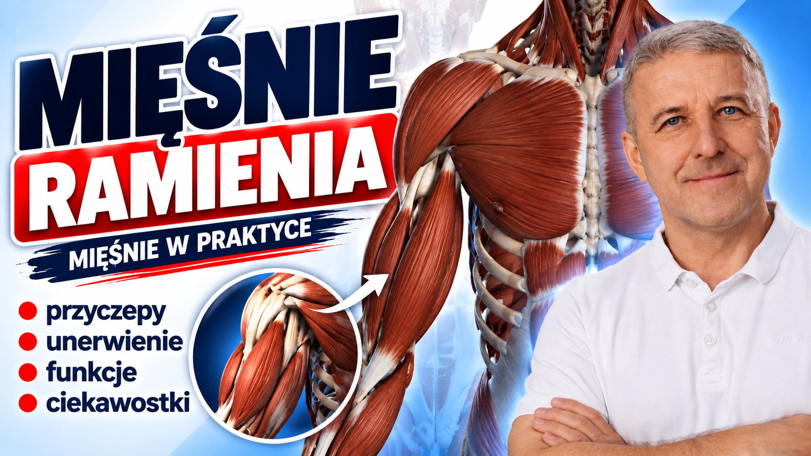 Mięśnie ramienia – budowa, przyczepy, unerwienie i funkcje | Mięśnie w praktyce